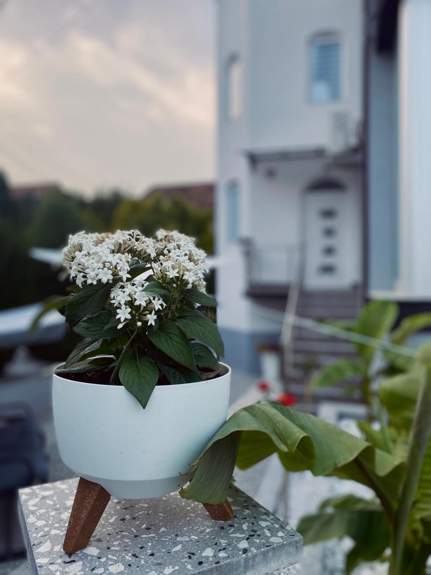 Greenhill Apartments Куманово Экстерьер фото